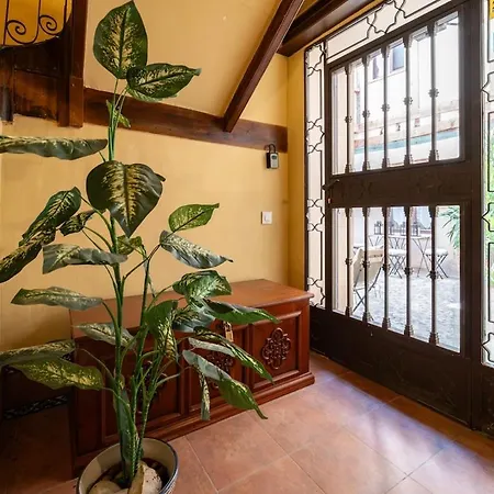 Patio In The Heart Of , Pets , Family トレド