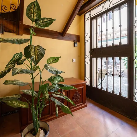 Patio In The Heart Of , Pets , Family